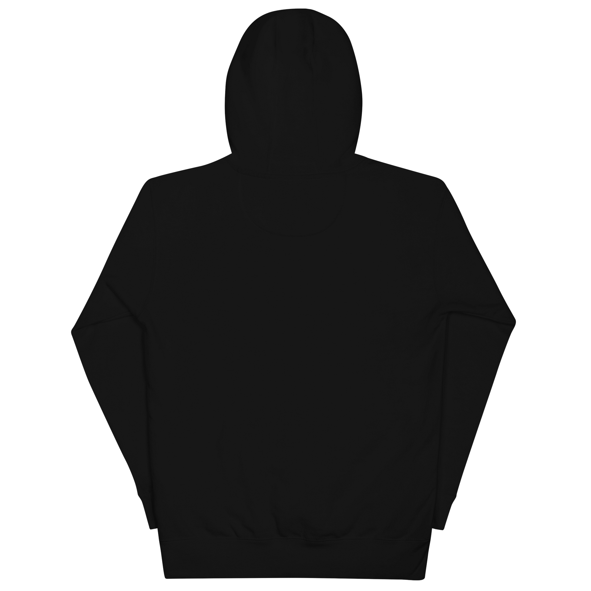 Black History Is American History Hoodie product image (6)