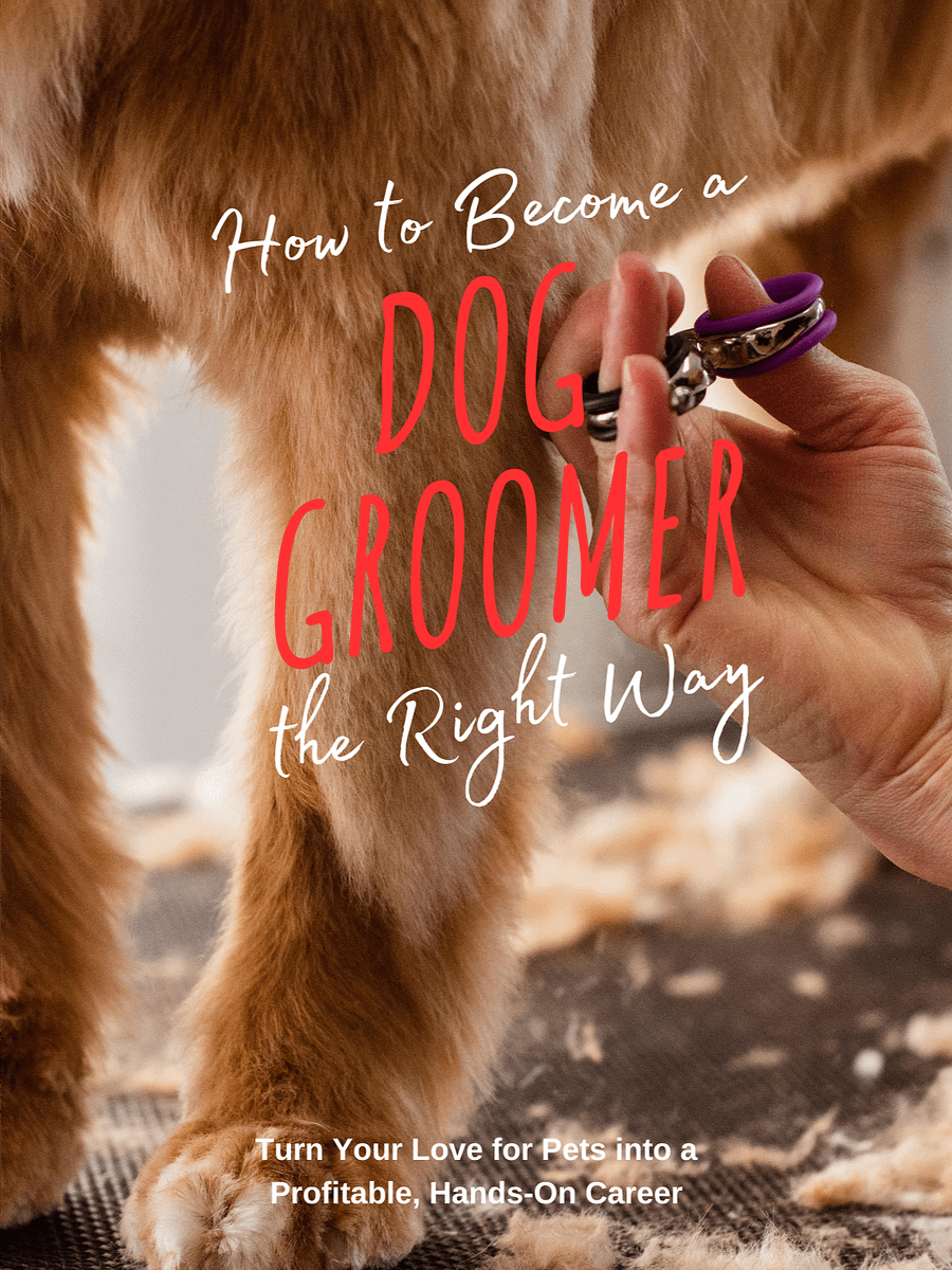 How to Become a Dog Groomer product image (1)