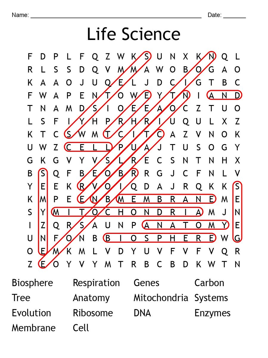 Life Science Word Search Puzzle – Fun & Educational Activity product image (1)