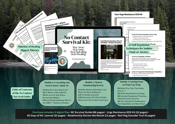 No Contact Survival Kit: The Ultimate Guide to Emotional Detachment and Nervous System Healing product image (1)