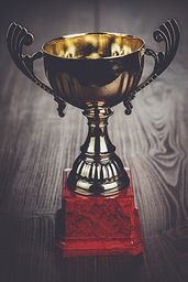 Elite Champion