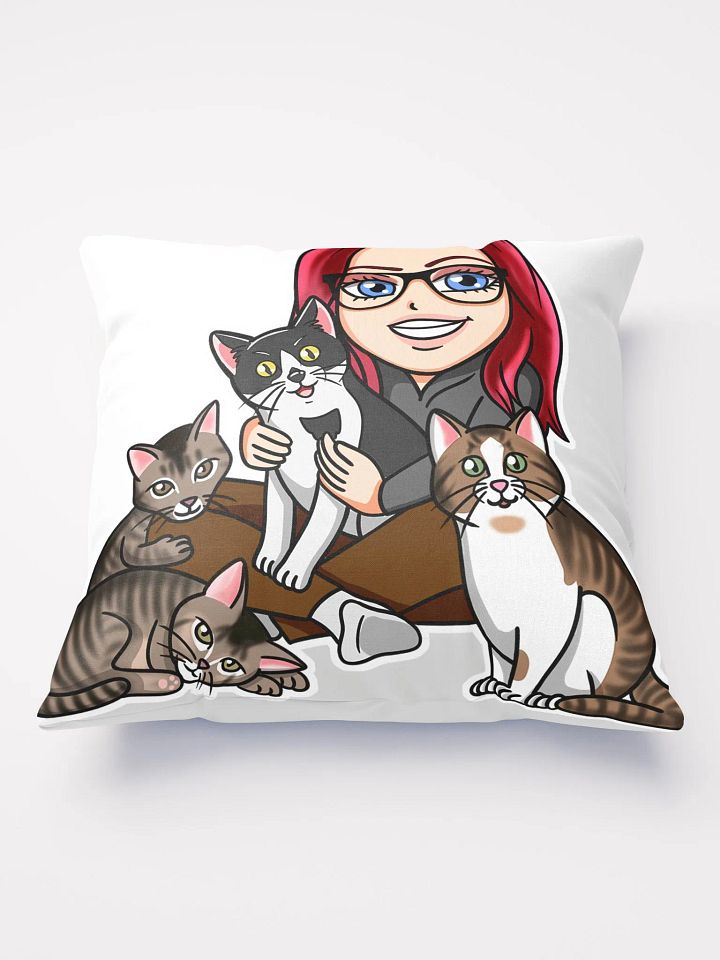 cool cat pillow product image (1)