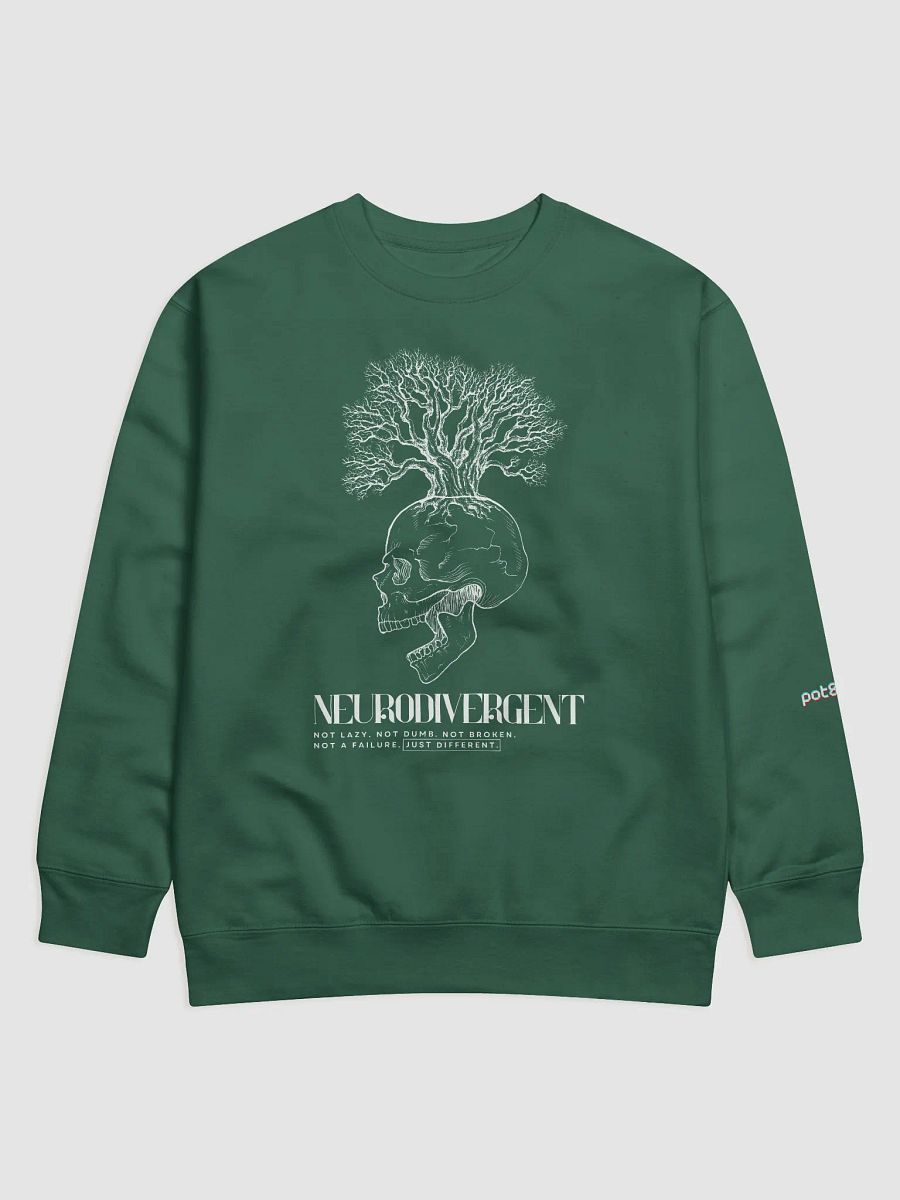 NEURODIVERGENT SKULL premium sweatshirt product image (9)