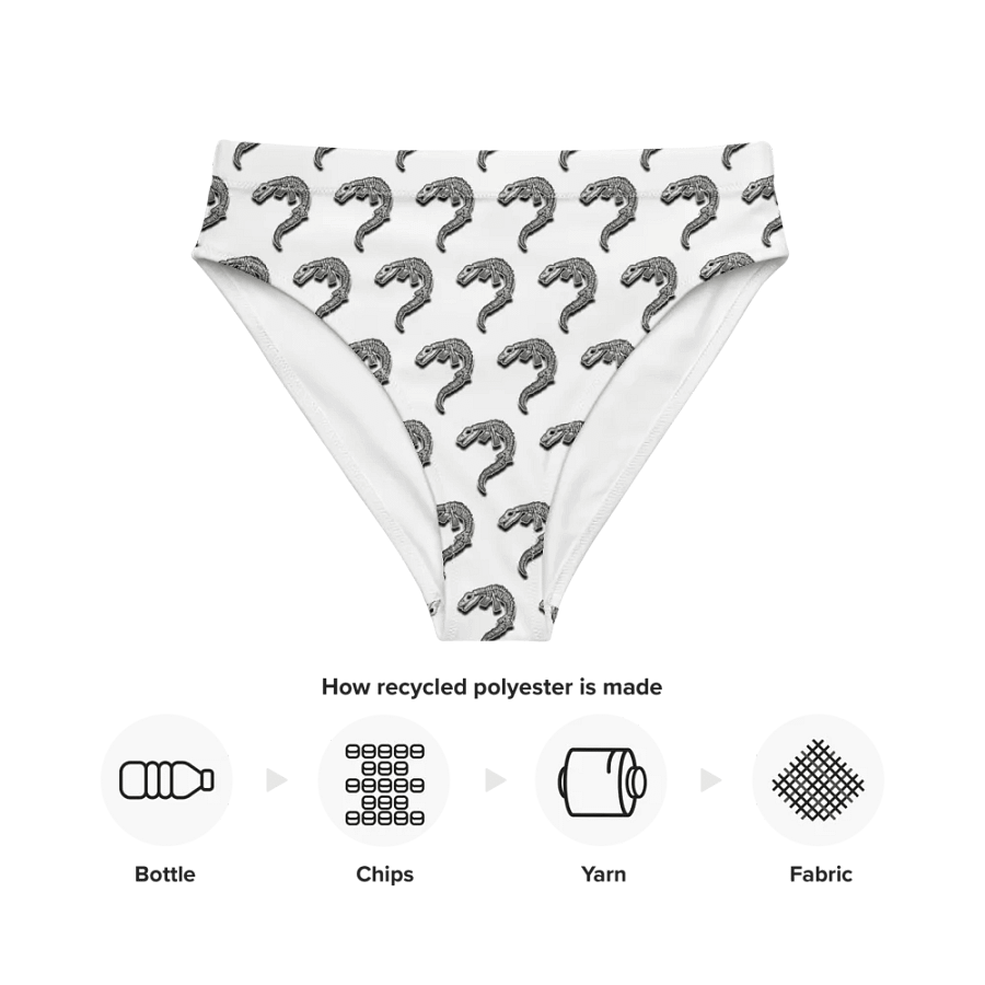 Mosasaur High Waisted Bikini Bottom product image (12)
