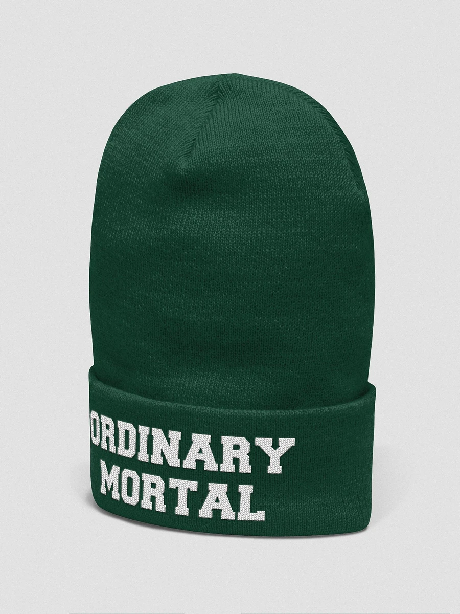 Ordinary Human embroidered beanie product image (15)