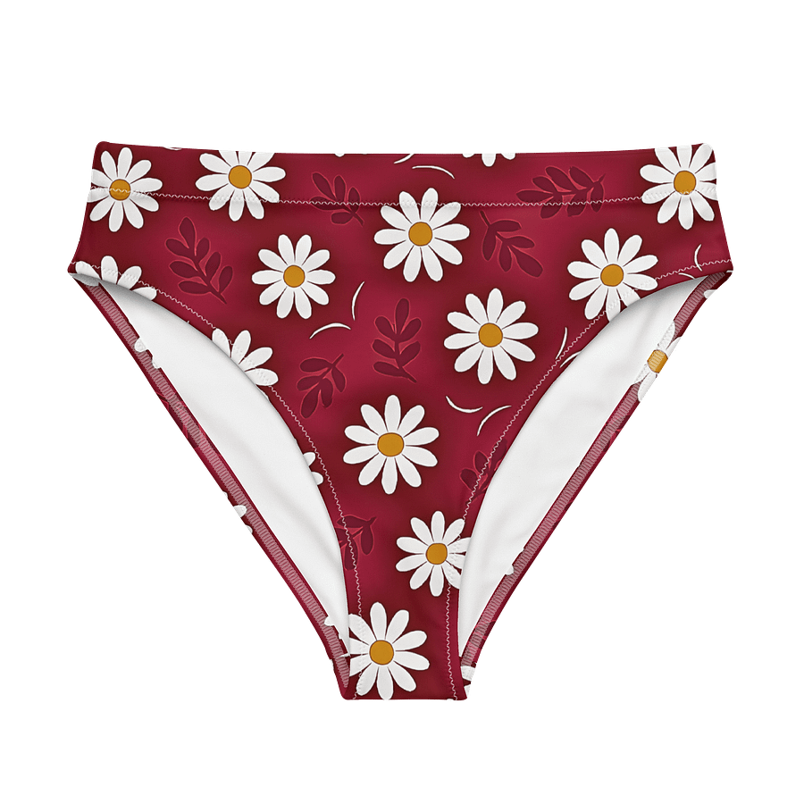 Daisy Dreams Recycled High Waist Bikini Bottoms product image (1)