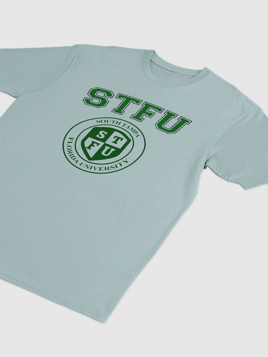 STFU Men's Premium Heavyweight Tee / Light Colors product image (3)