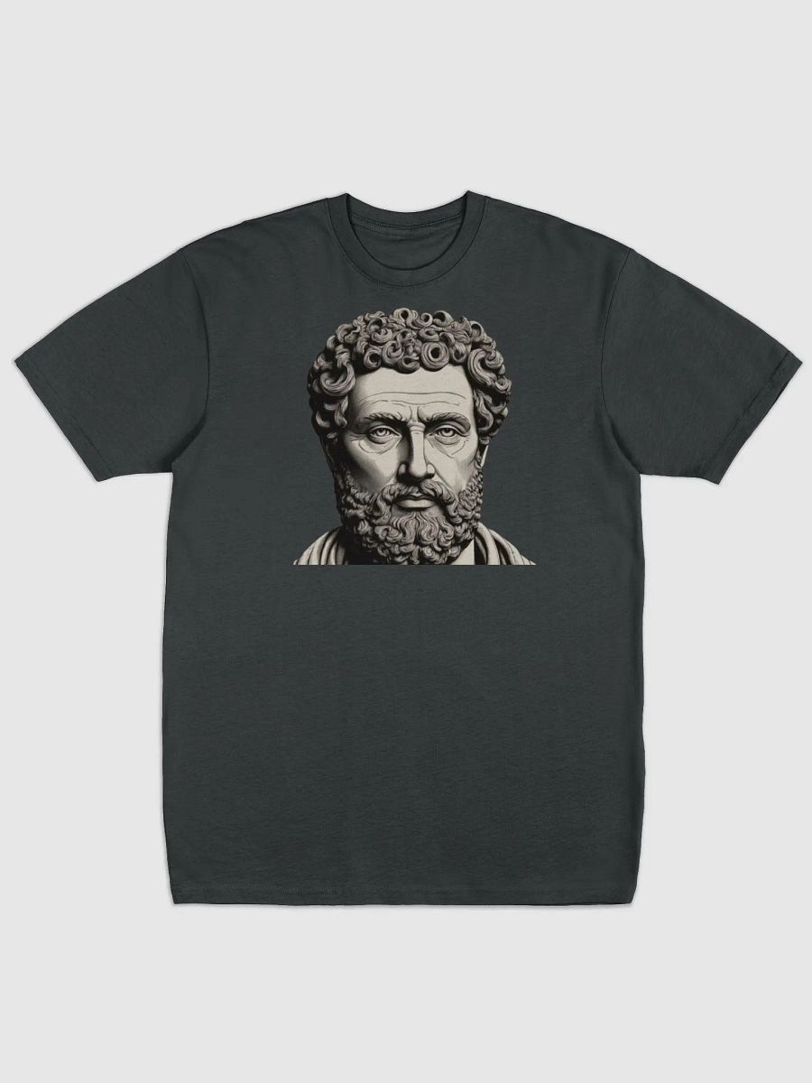 t-shirt stoic product image (1)