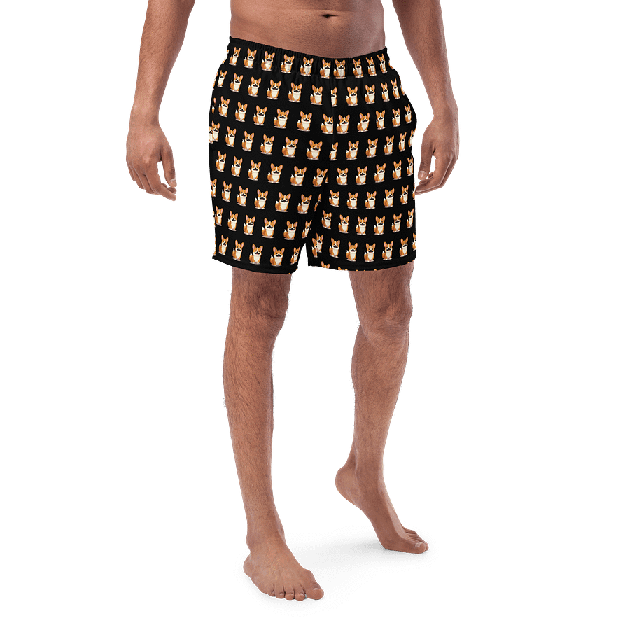 Torgi Swim Trunk Black product image (1)