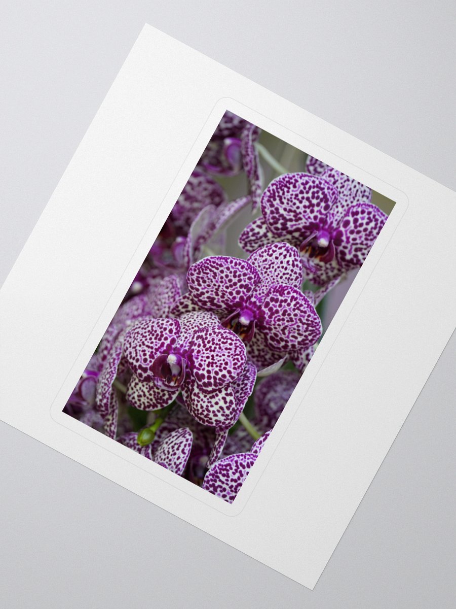 Orchid Cluster Kiss Cut Stickers product image (2)