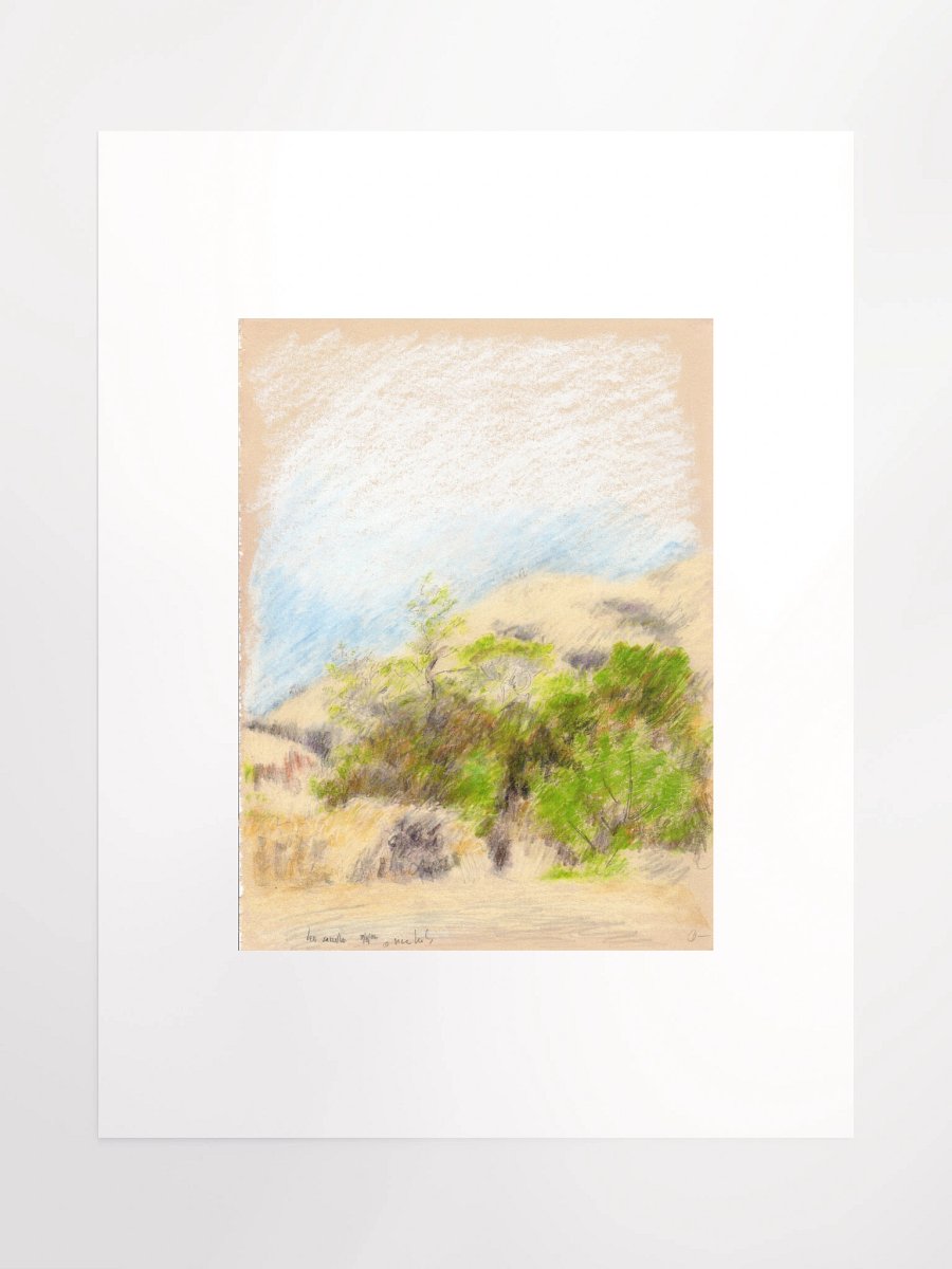Leo Carillo State Park, CA #1 09.08.86 print product image (1)