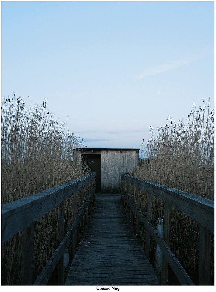 Fujify [Nikon] Lightroom Profile - Classic Neg product image (2)
