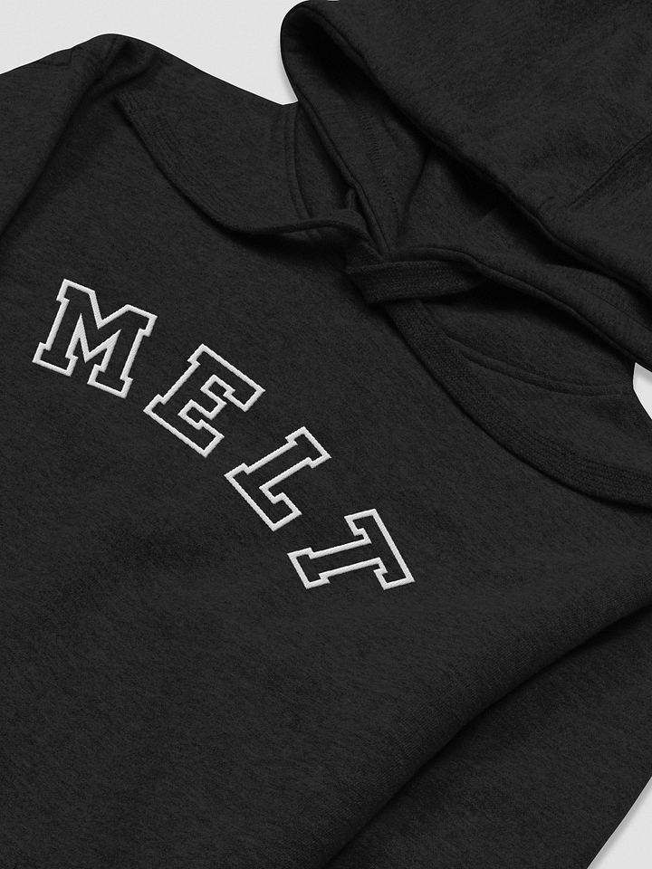 Embroidered Melt Hoodie product image (2)