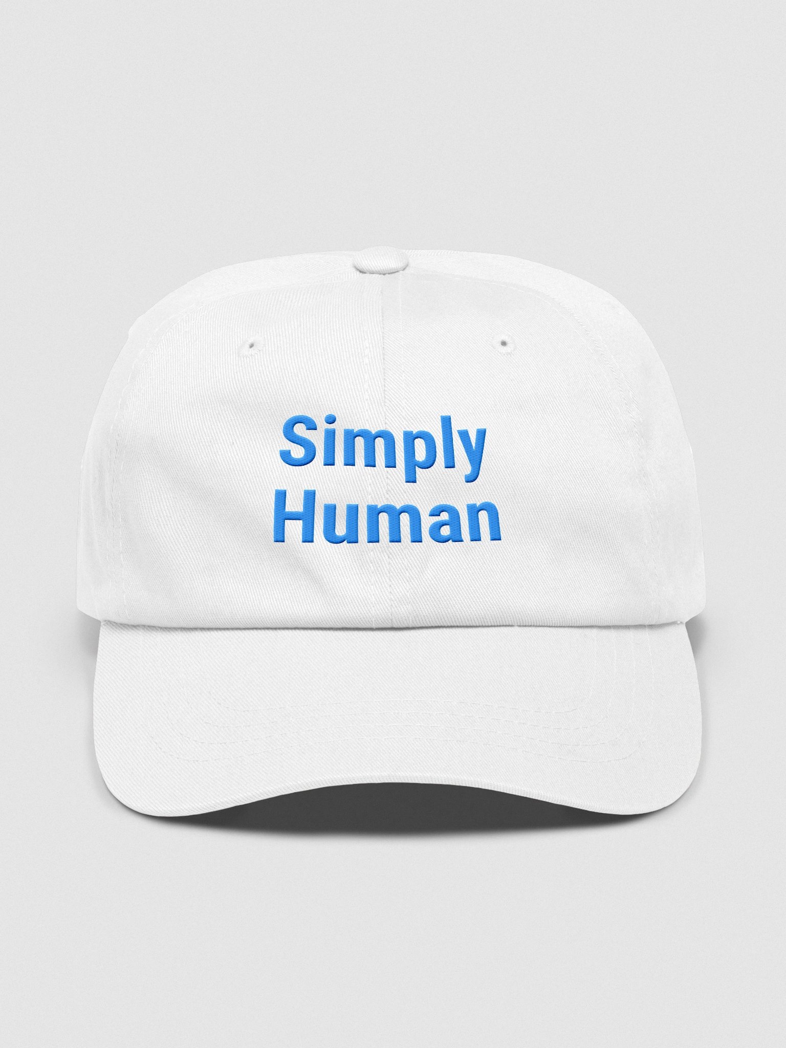 “Simply Human” My Vibe Baseball Hat product image (2)