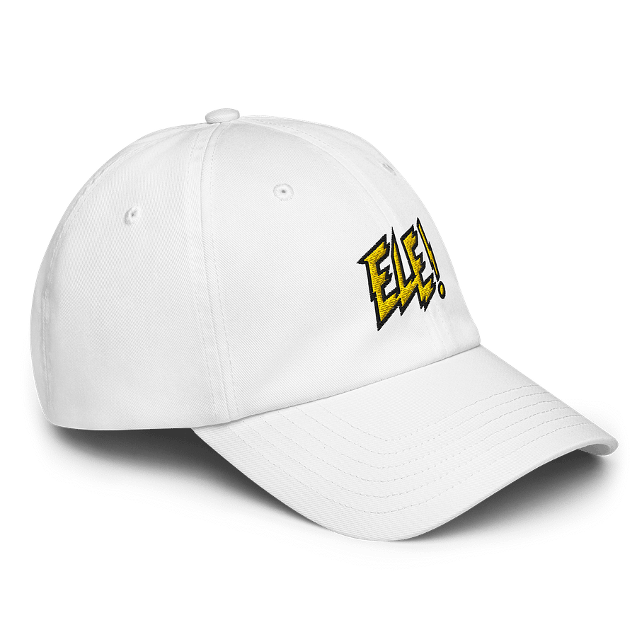 ELE! Embroidered Under Armour Dad Hat product image (23)