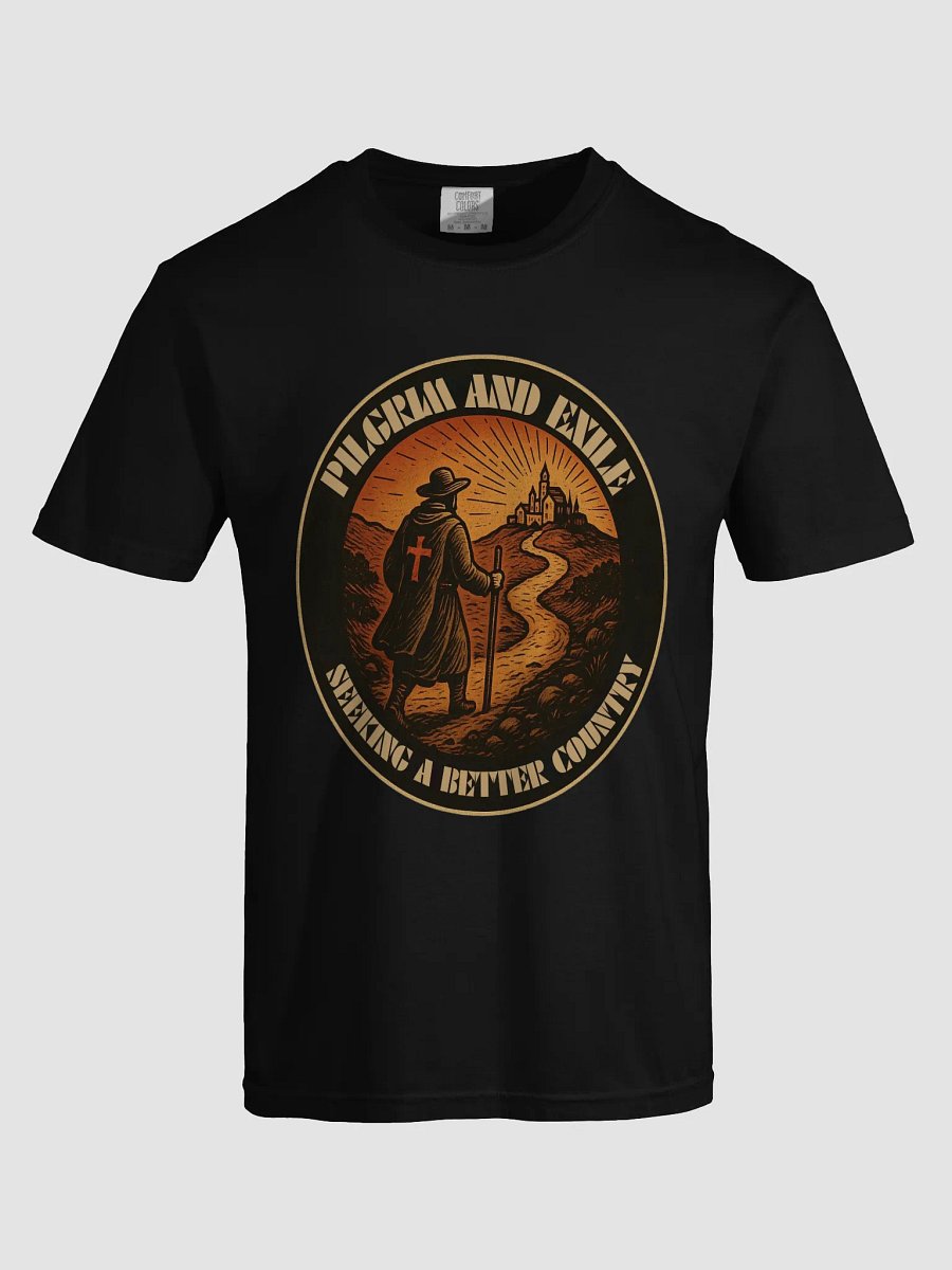 Pilgrim and Exile Tee product image (26)
