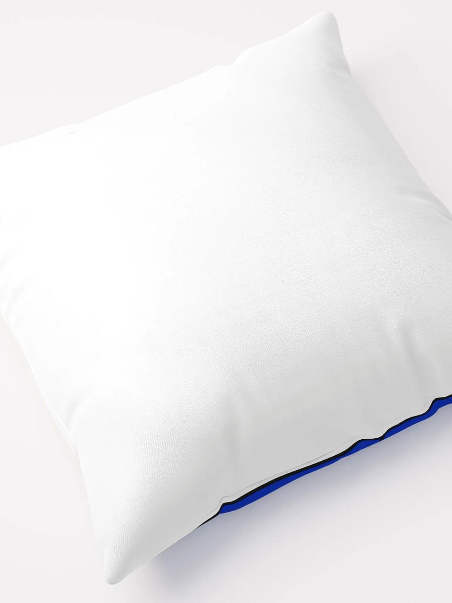 The *AHEM* Pillow... product image (8)