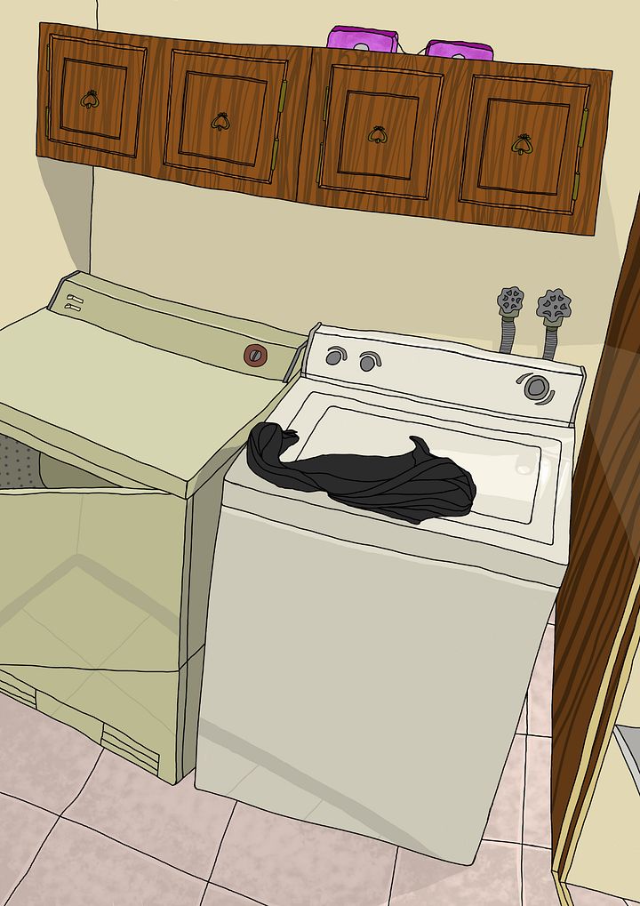 laundry product image (1)