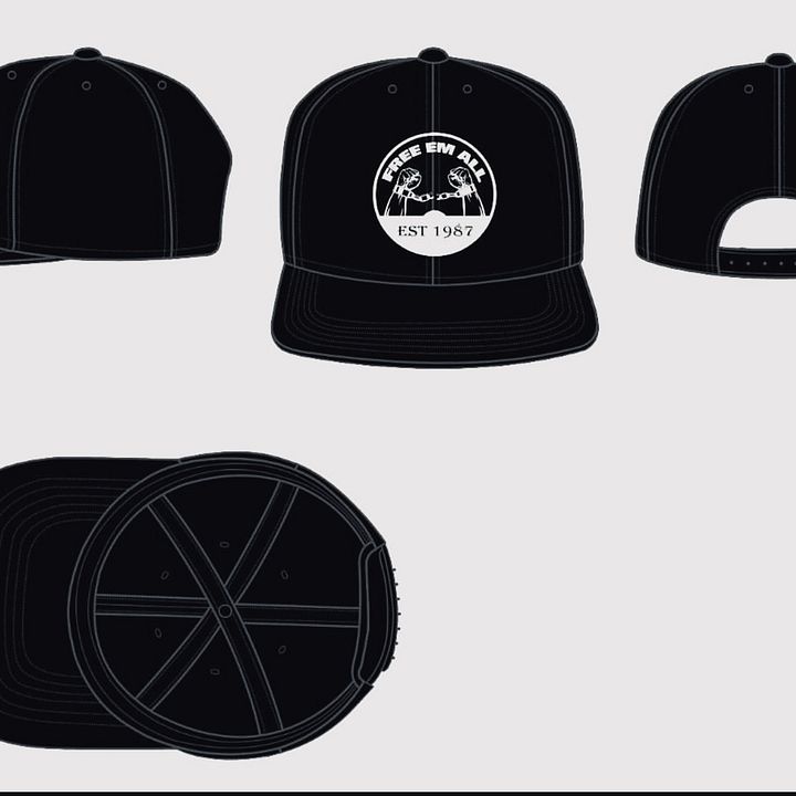 Free Em All Snapbacks Hat (PreOrders) product image (1)