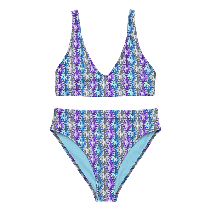 Snowshard Bikini product image (2)