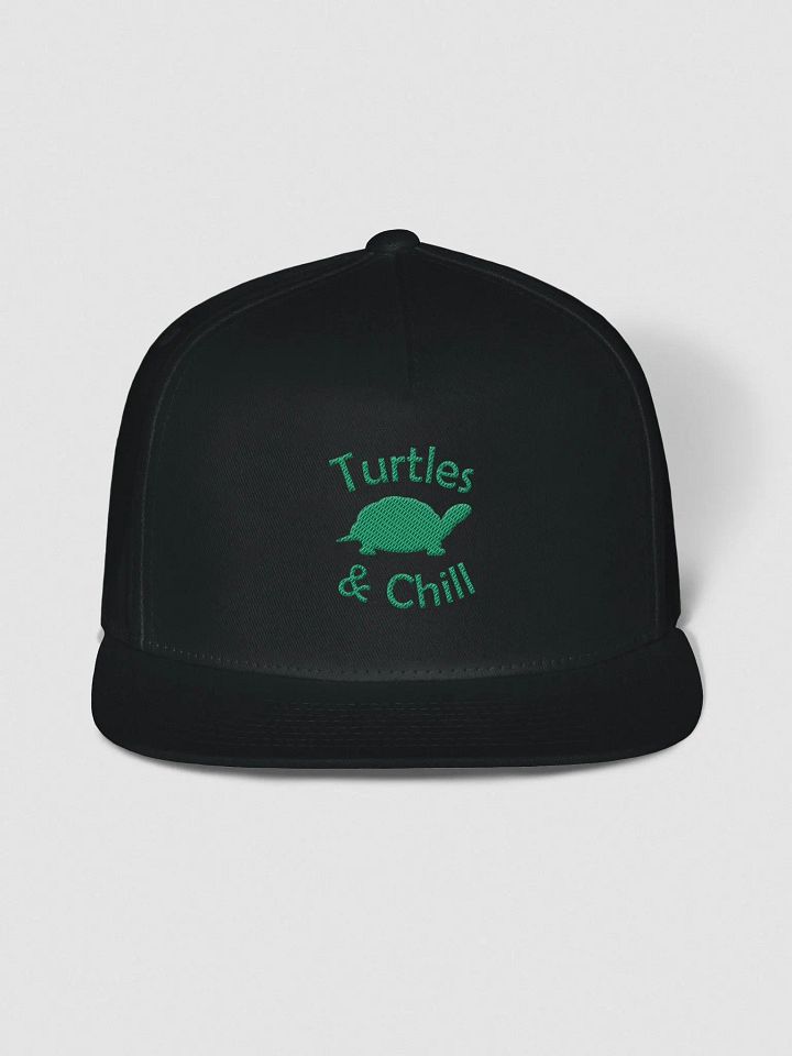 T&C Snapback product image (1)