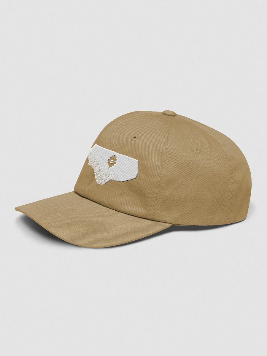A+O State Outline Dad Hat product image (19)