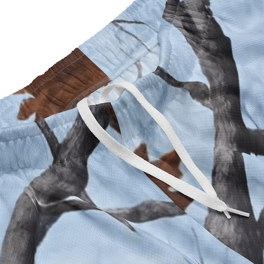 Satellite Society Carolina Camo Mesh Shorts product image (3)