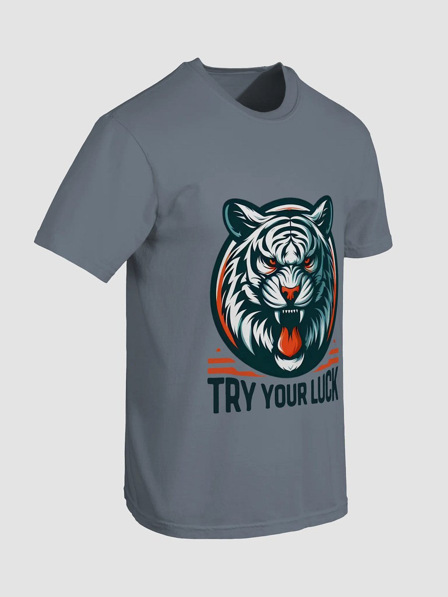 TRY YOUR LUCK product image (11)