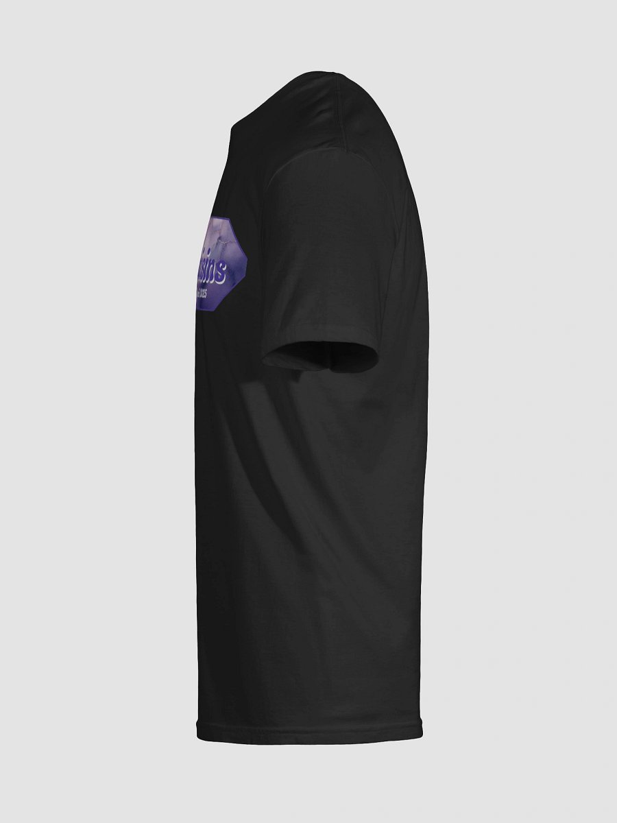 ''Les raisins Camp d'été 2025' T-shirt softstyle unisexe product image (130)