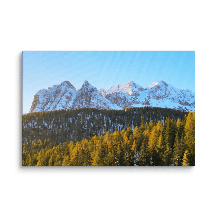 Dolomites – Golden Forest product image (5)