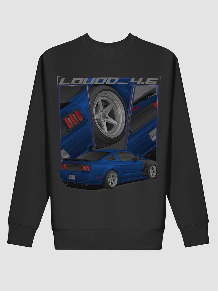 Sweatshirt - loudd_4.6 product image (9)