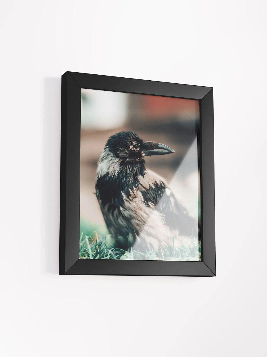 In loving memory of Hafez product image (2)