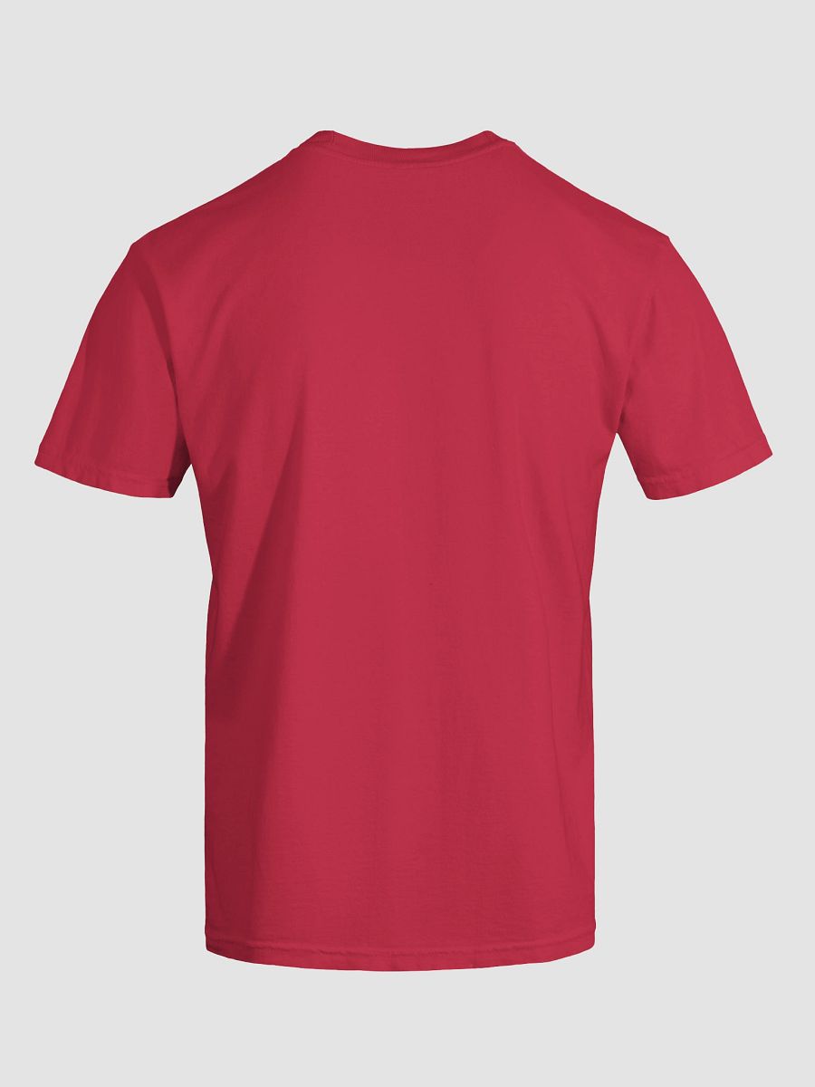 My Homework? Stamp Every Passport Page T-Shirt product image (6)
