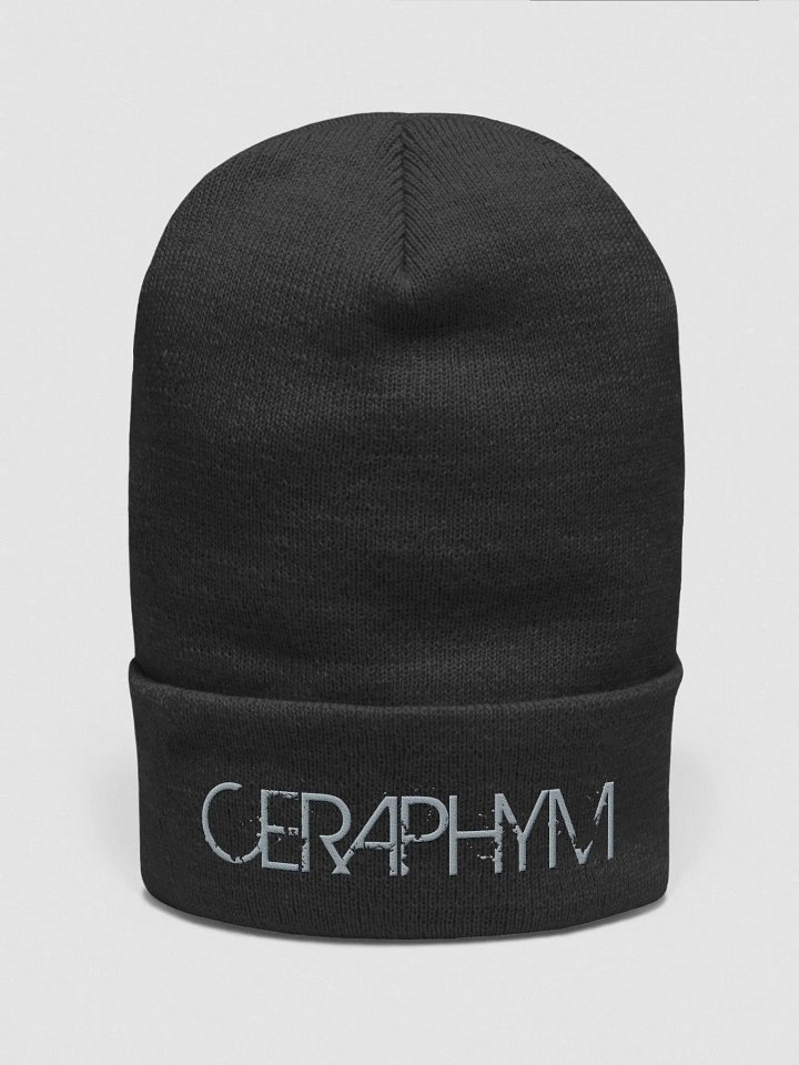 Grey Logo Beanie product image (2)