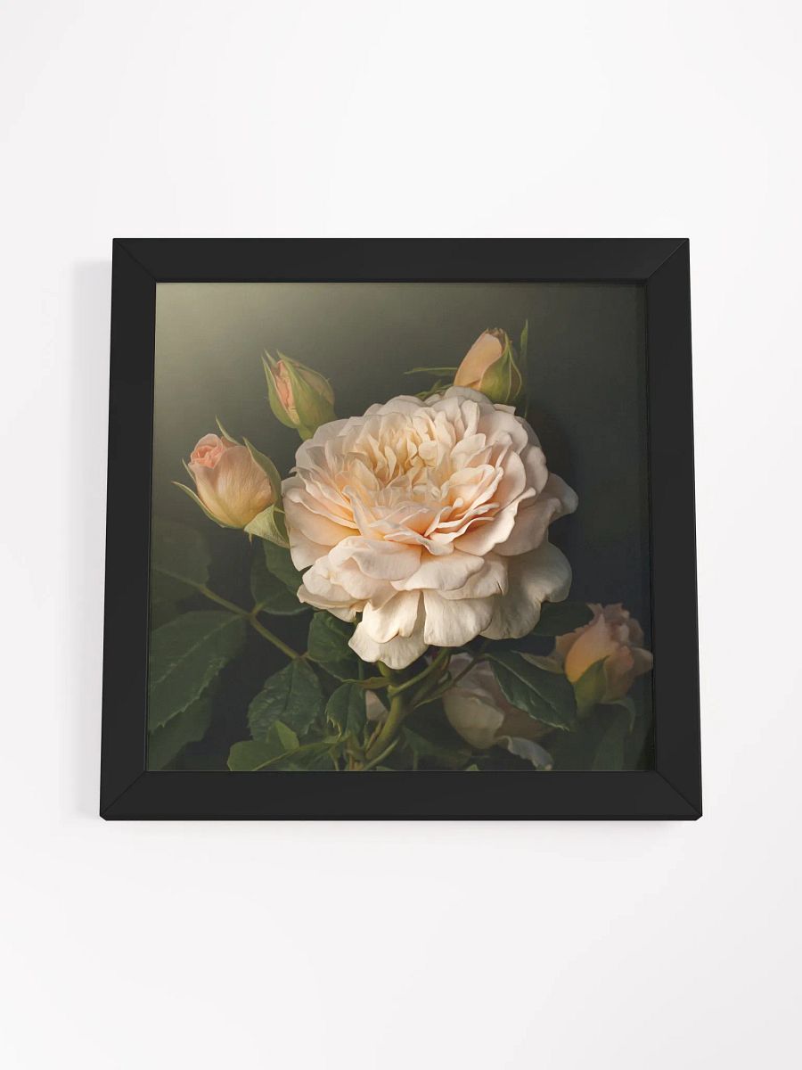 Engish Rose and Buds product image (3)