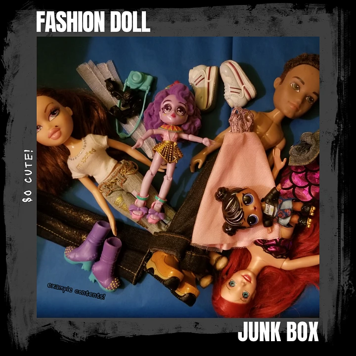 Fashion Doll Junk Box product image (1)