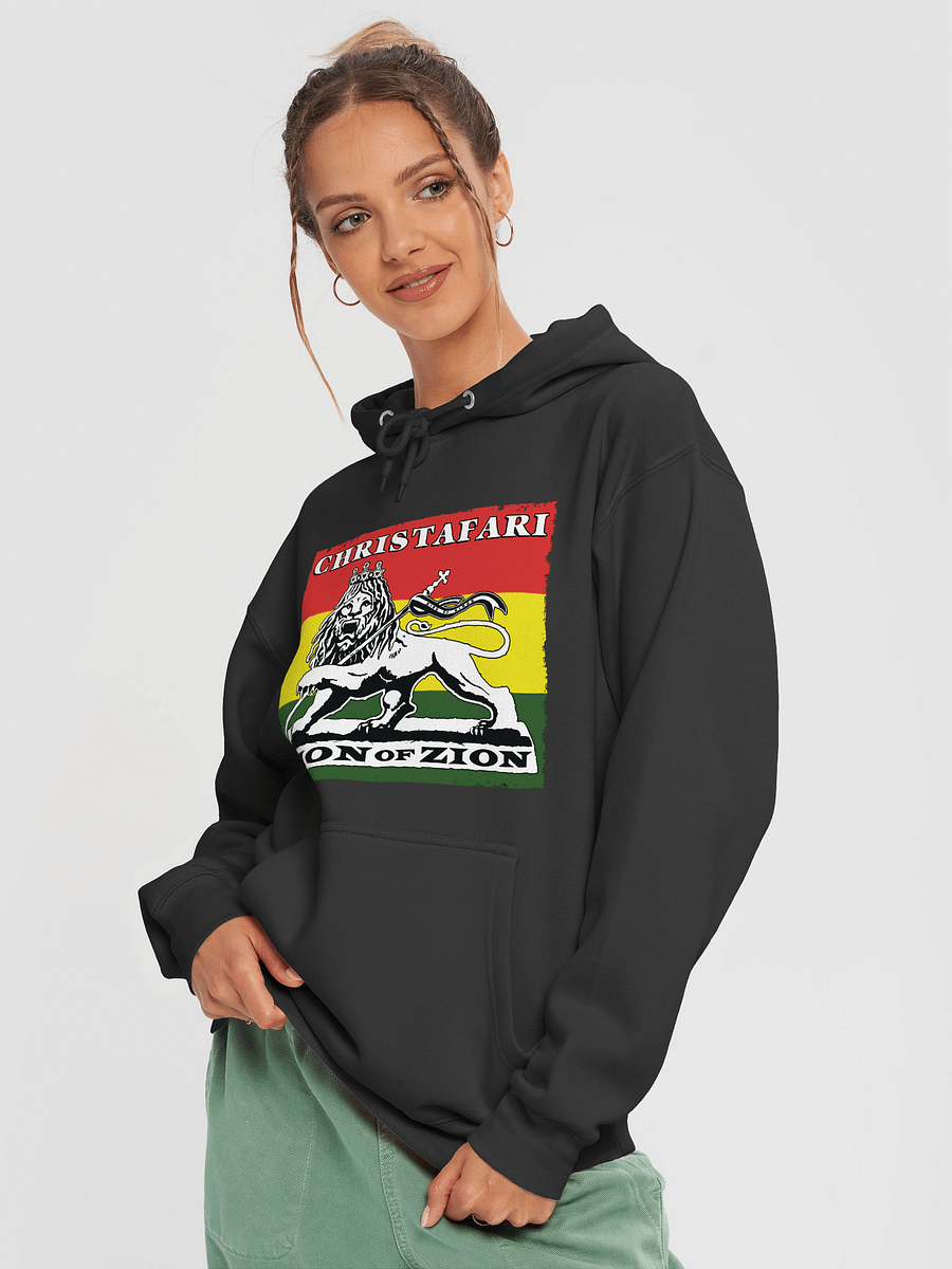 Lion of Zion Premium Hoodie product image (17)