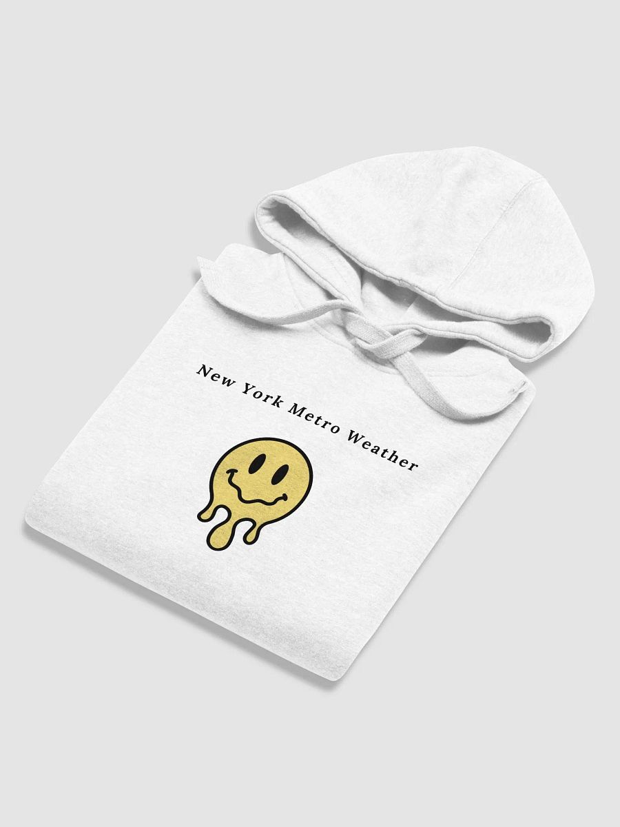 NYMW Seasons Hoodie product image (5)