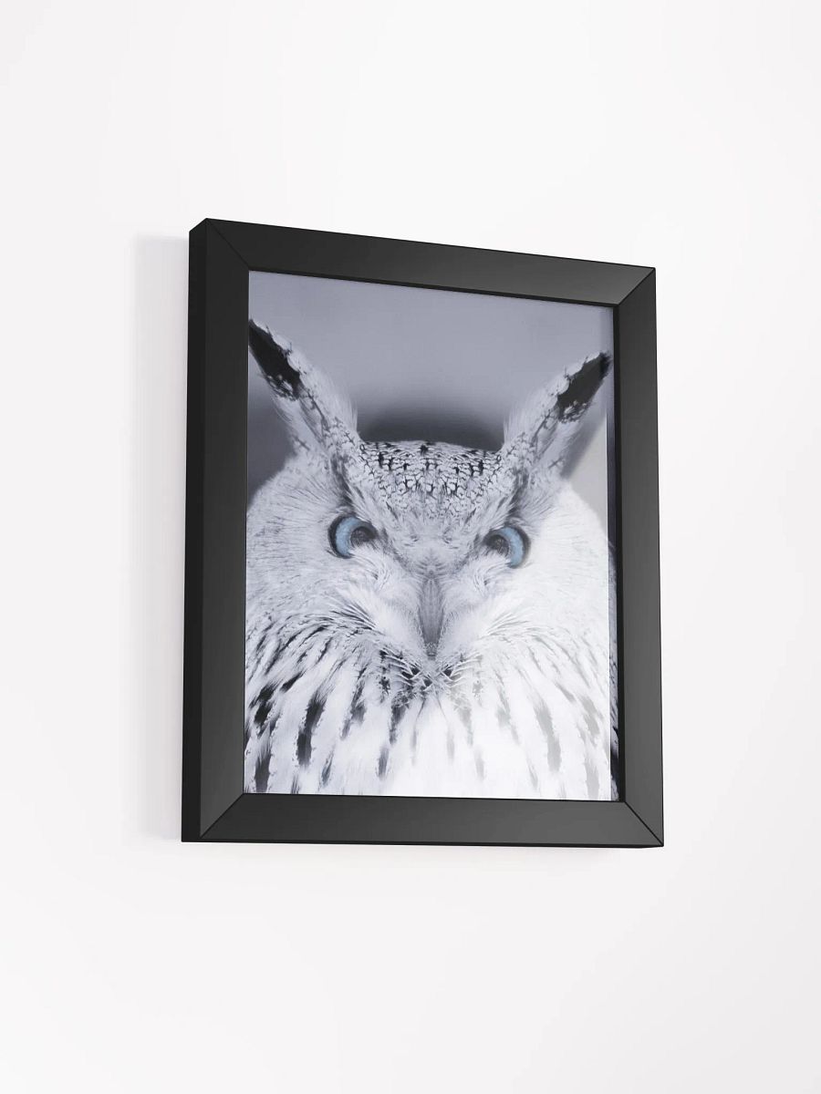 Symmetrical Owl Wisdom Framed Poster product image (32)