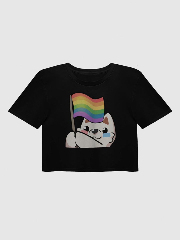 Rainbow Pride Flag Crop Top product image (3)