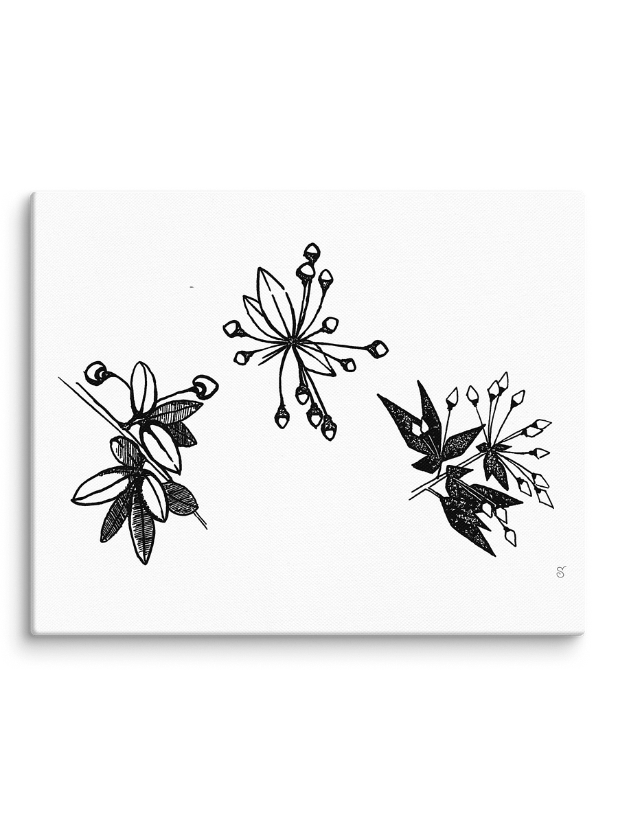 Blank Canvas Masterpieces - Stylized Plants product image (2)