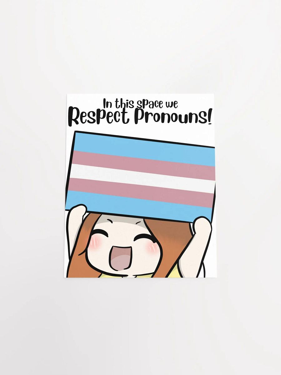 Respect Pronouns Poster - Transgender product image (4)