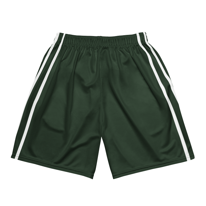 Game-Ready Confidence Unisex Mesh Shorts product image (2)