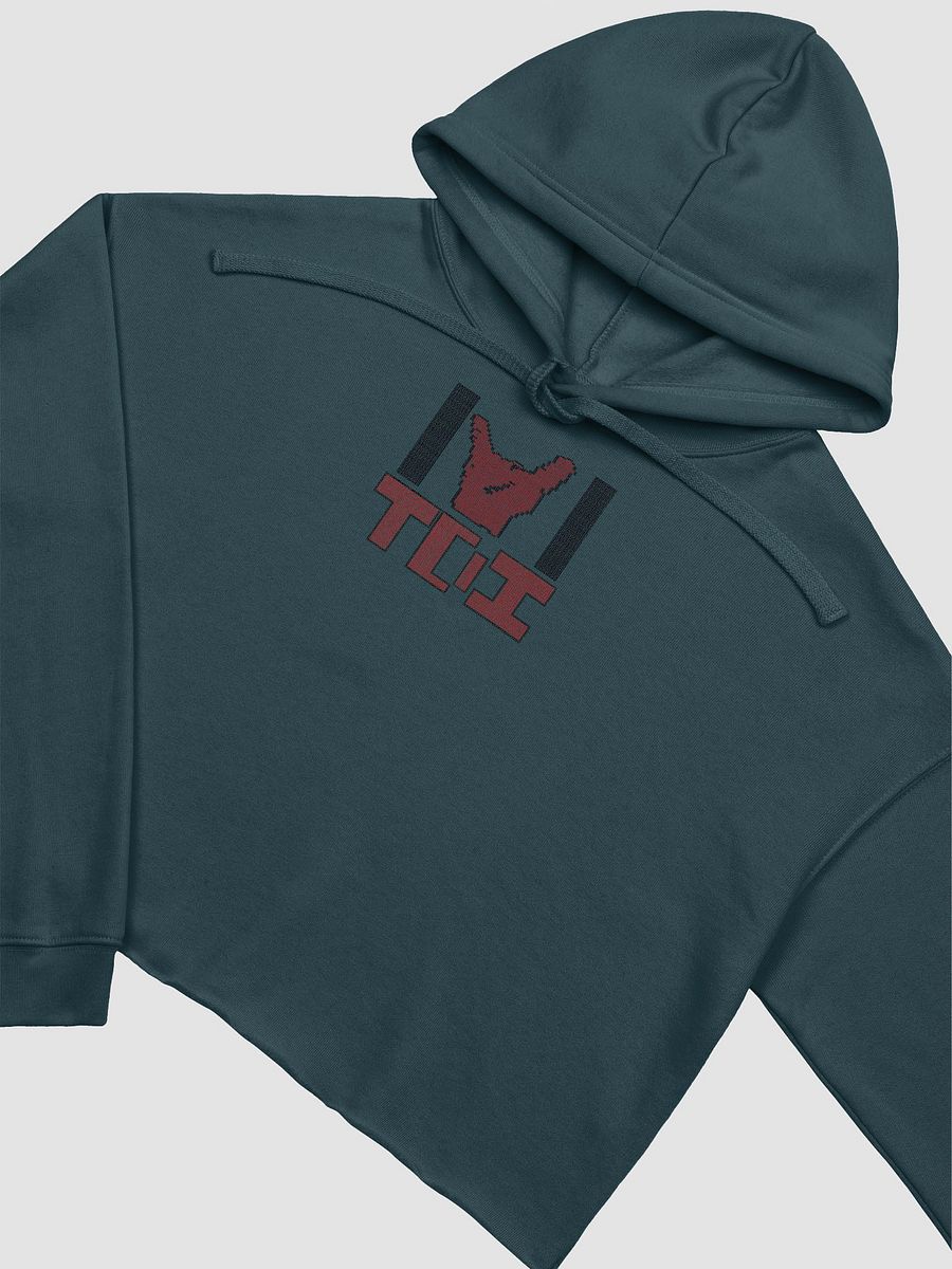 TDI Womens Hoodie product image (19)