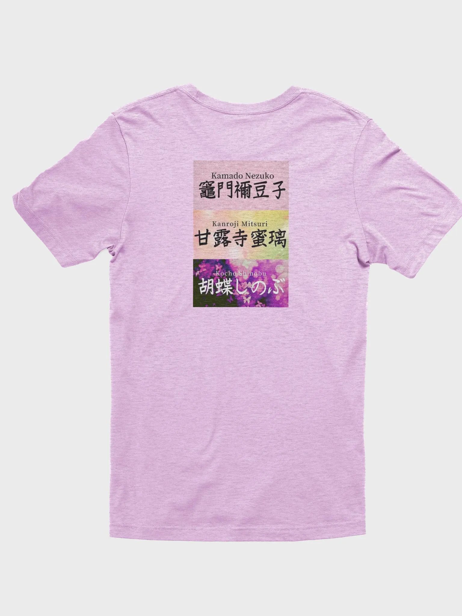 DS product image (2)