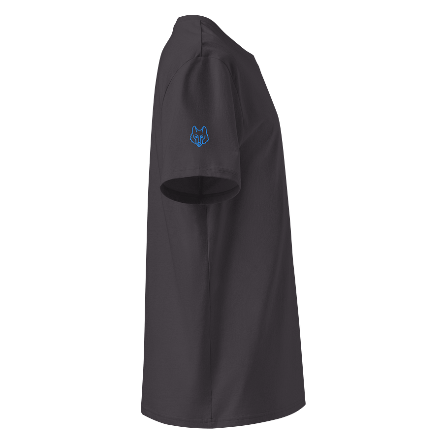 The Paranormal Investigator Shirt product image (21)