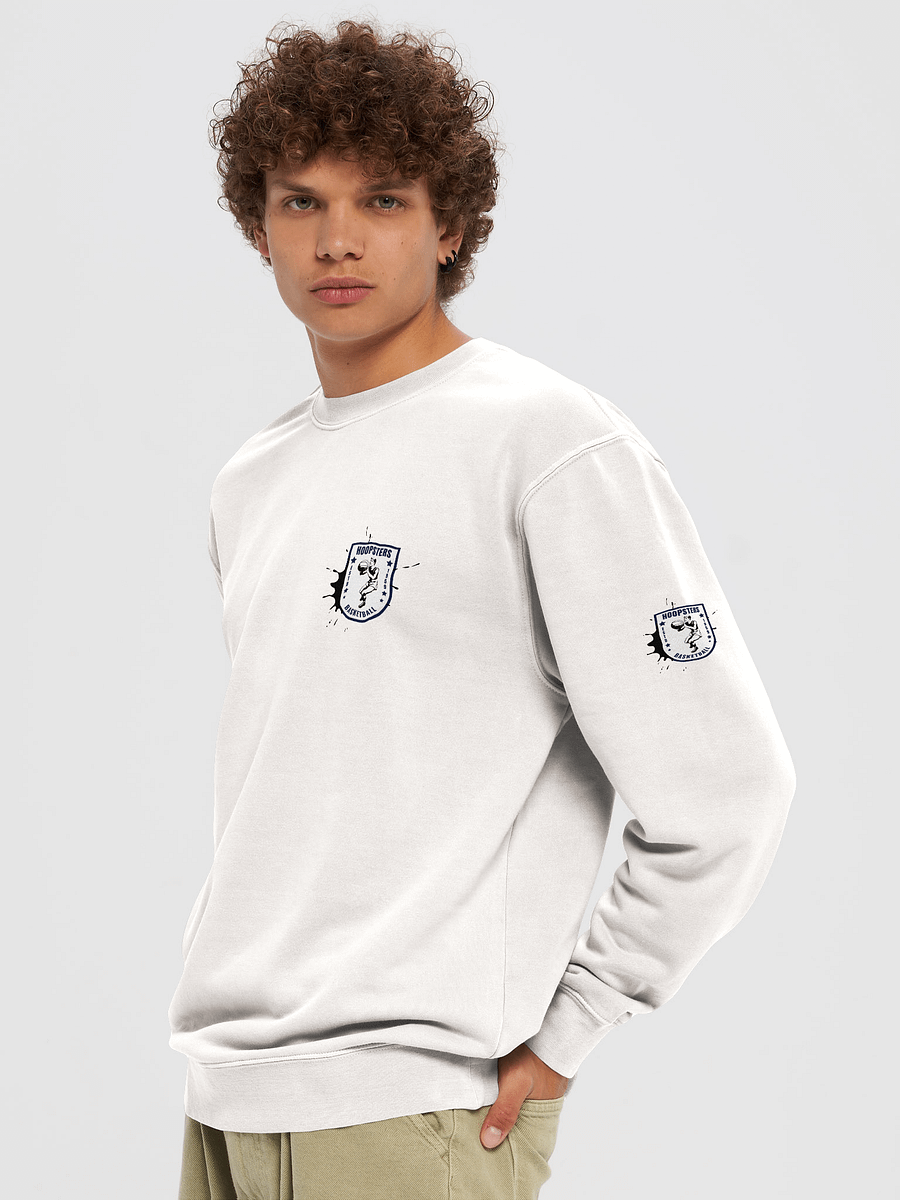 Vintage-Inspired Hoopsters Basketball Emblem Sweatshirt product image (5)