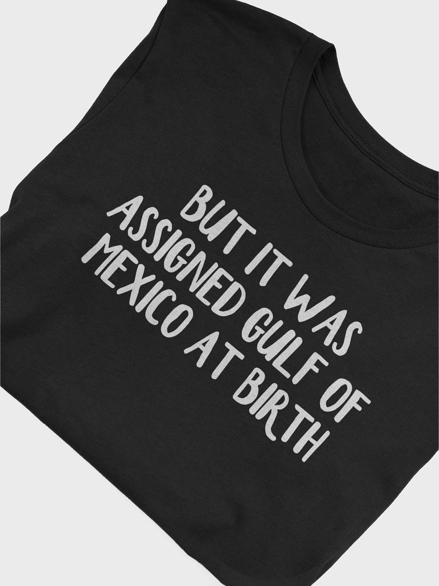 But It Was Assigned Gulf Of Mexico At Birth Shirt product image (6)