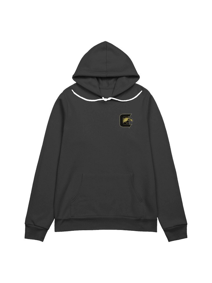 Soar Higher Falcon Hoodie product image (1)