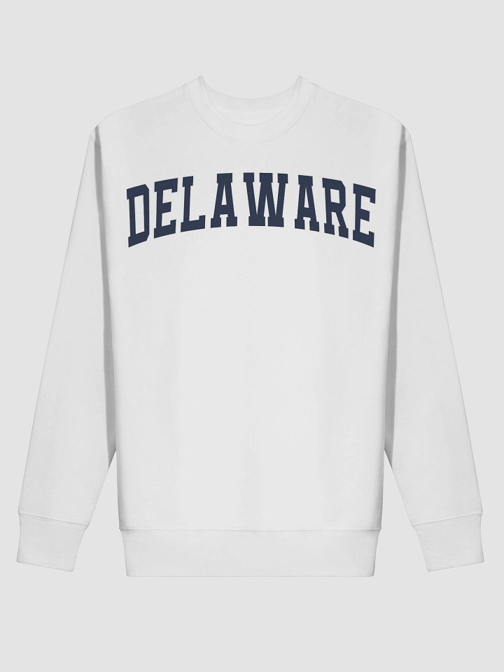 Delaware Vintage Varsity Premium Sweatshirt product image (15)
